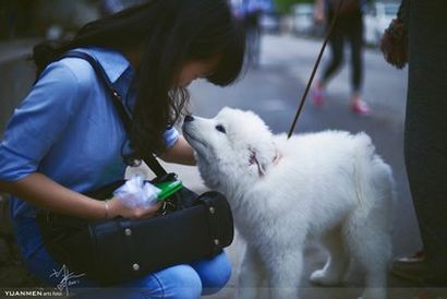 《私人诊所》