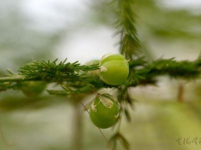 亚欧洲高清砖砖专区