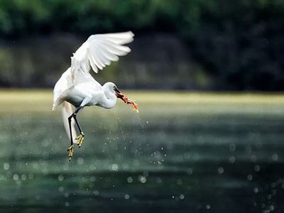 妻子撒谎去外地出差视频