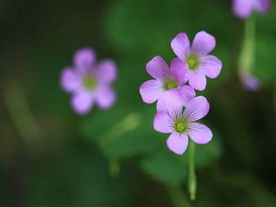 学校公共厕所视频