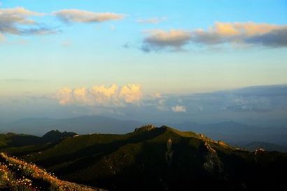 易建联真实年龄